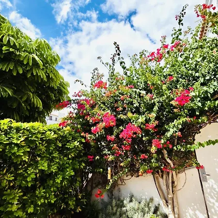 Daire Beautiful 4 Bedroom With Private Jacuzzi *